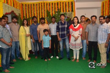 Paper Boy Movie Opening